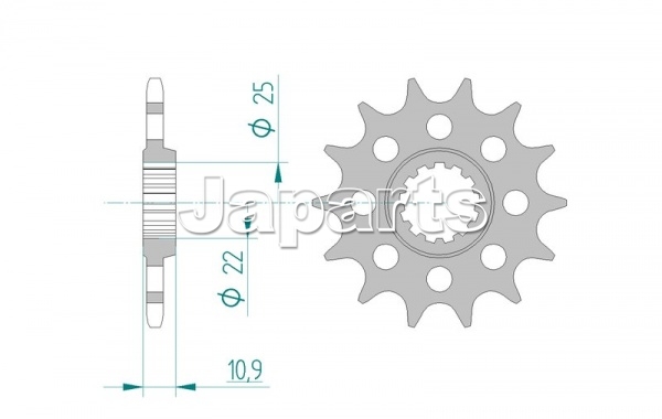 DC-Afam Sprocket Front Steel #520, 13 t